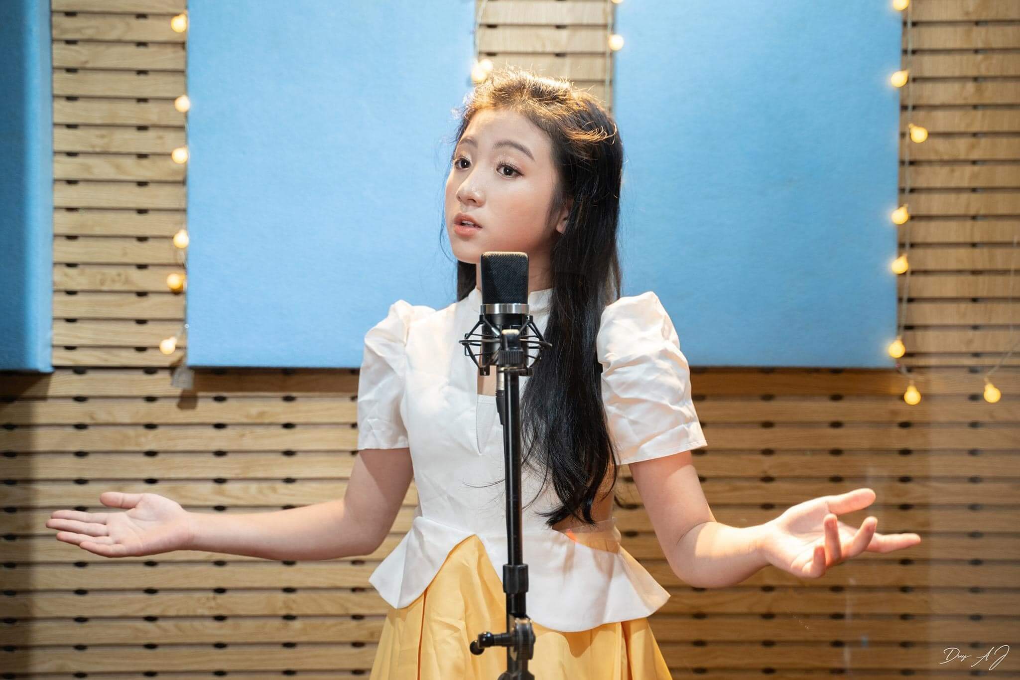 vietnamese voice actors, vietnamese voice over
